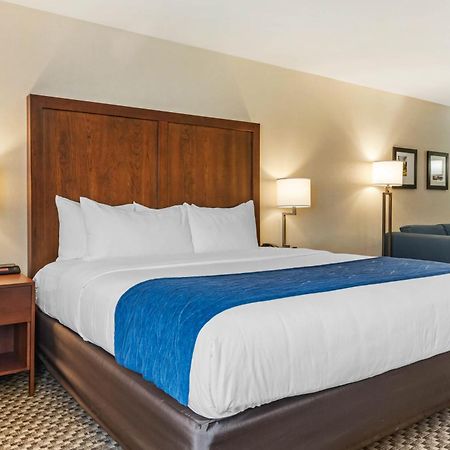 Comfort Inn & Suites Near Route 66 Lincoln Bilik gambar