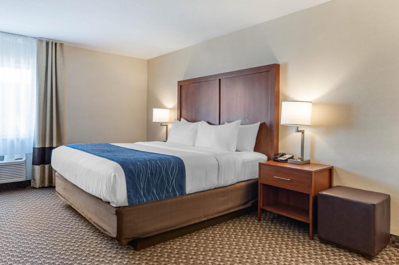 Comfort Inn & Suites Near Route 66 Lincoln Bilik gambar